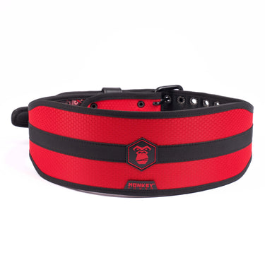 Lifting Belt (NY-POWER)