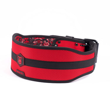 Lifting Belt (NY-POWER)