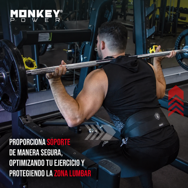 Lifting Belt (NY-POWER)